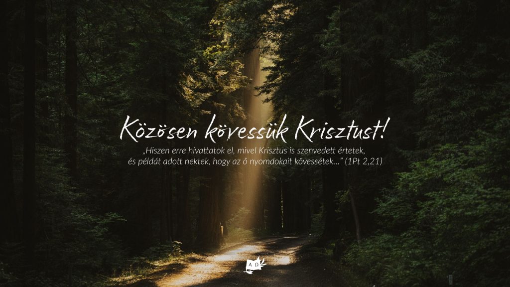 Nyitó oldali köszöntés